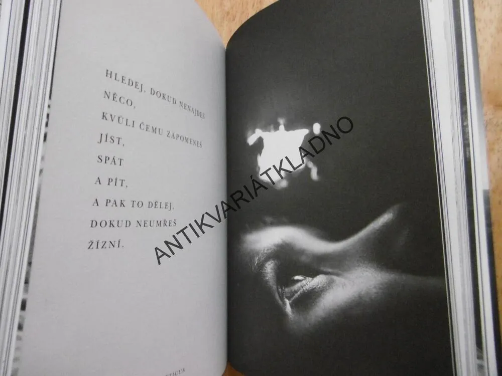 LÁSKOU JI NESPOUTÁŠ, ATTICUS, **an