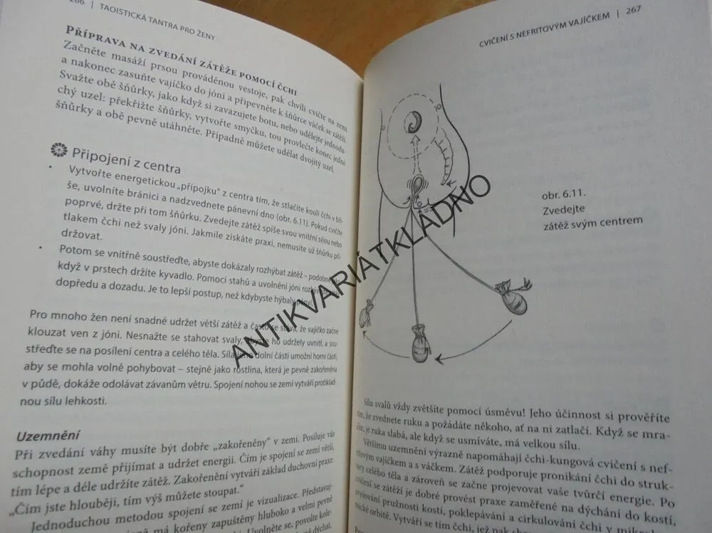TAOISTICKÁ TANTRA PRO ŽENY MINKE DEVOS,SEX,EROTIKA