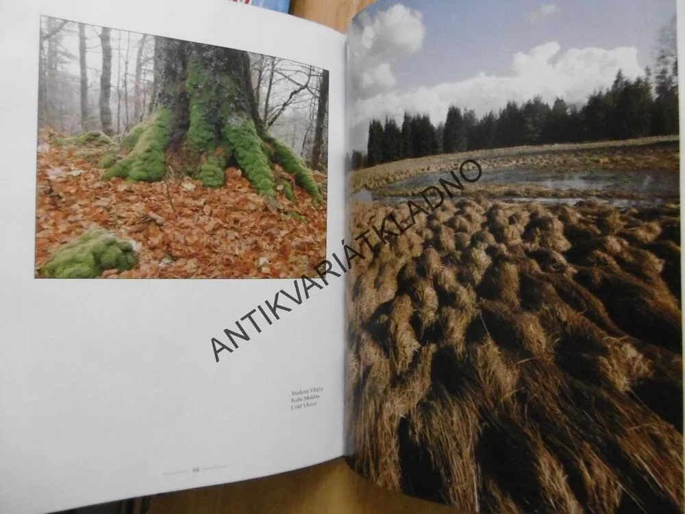 ŠUMAVA, BÖHMERWALD, VLADISLAV HOŠEK, JIŘÍ MACHT, **an