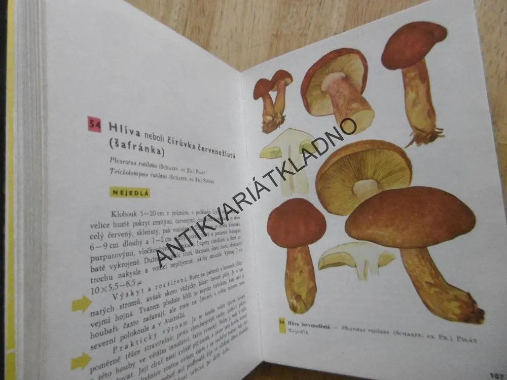 KAPESNÍ ATLAS HUB, PILÁT, UŠÁK,  HOUBY, **an