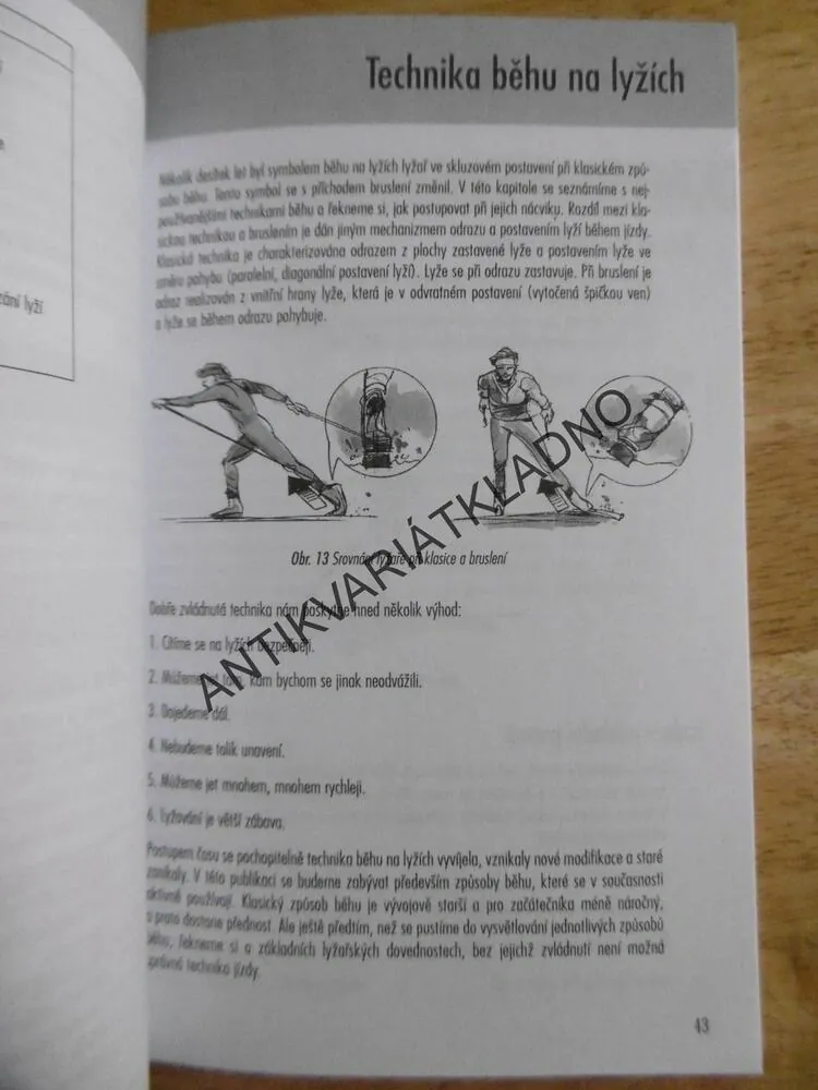 BĚH NA LYŽÍCH, LYŽOVÁNÍ, LYŽE, SPORT,SOUMAR, BOLEK, **an