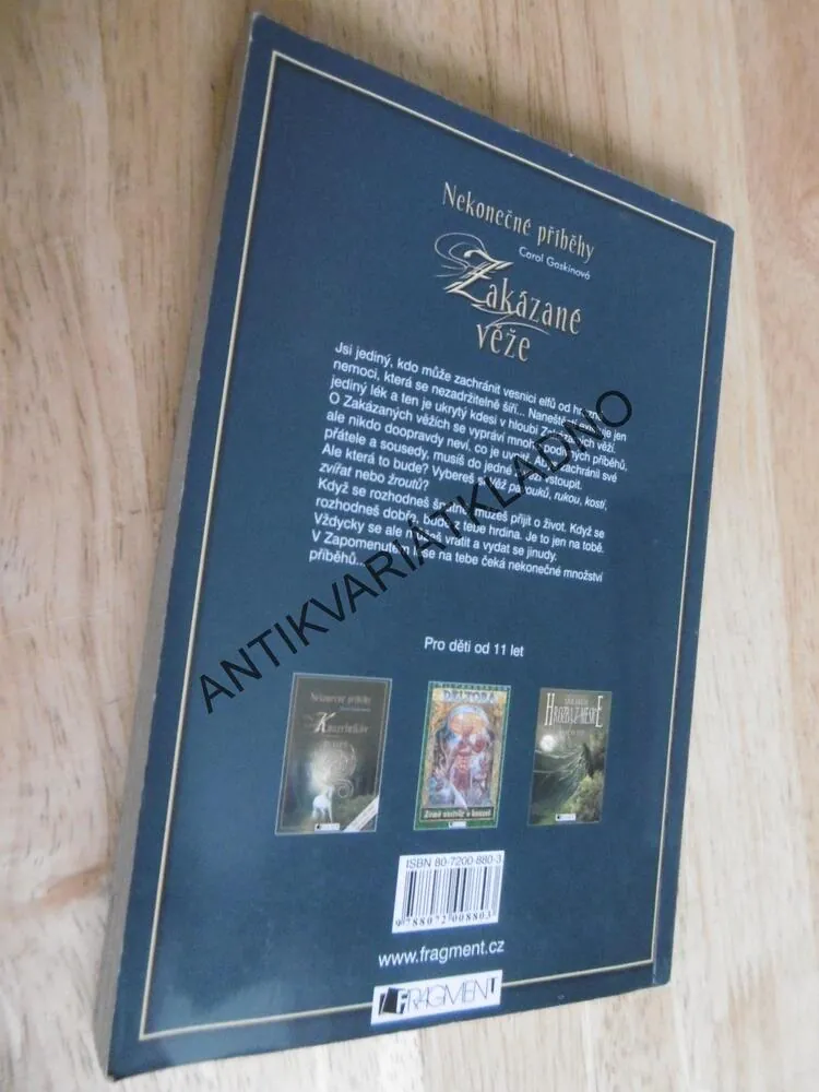 ZAKÁZANÉ VĚŽE, NEKONEČNÉ PŘÍBĚHY, CAROL GASKINOVÁ, **an