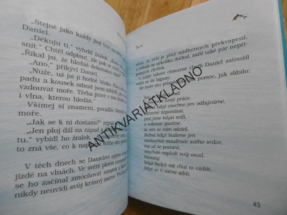 DELFÍN, PŘÍBĚH JEDNOHO SNÍLKA, SERGIO BAMBARÉN, **an