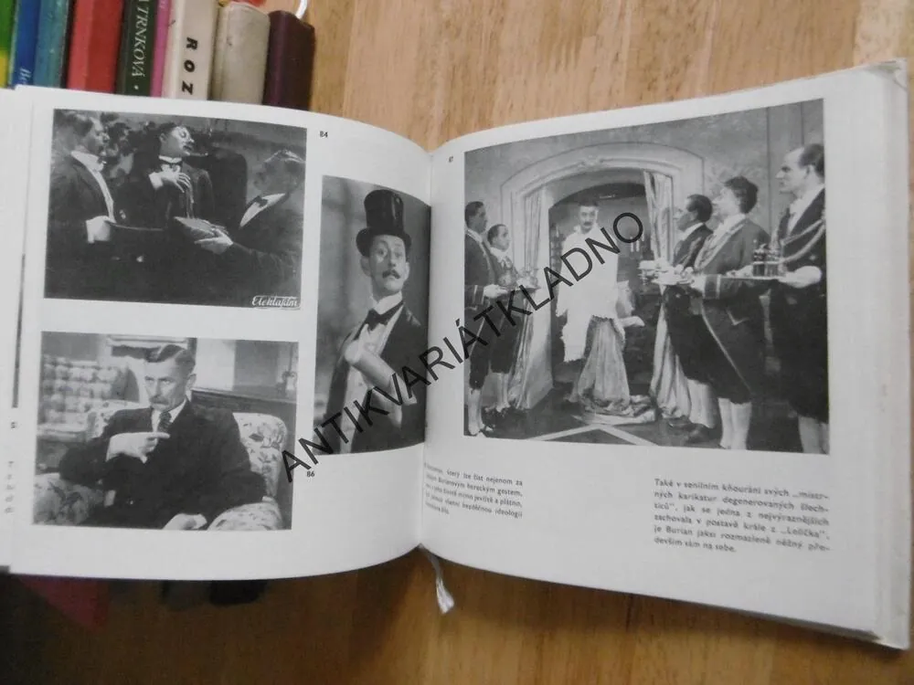 VLASTA BURIAN, ANTONÍN KRÁL, PETR KRÁL, **an