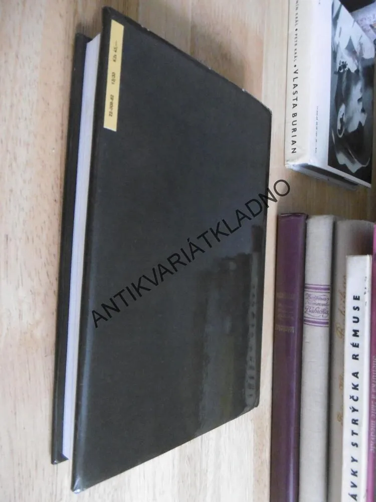 MĚSTEČKO U VODY, BOHUMIL HRABAL, **an