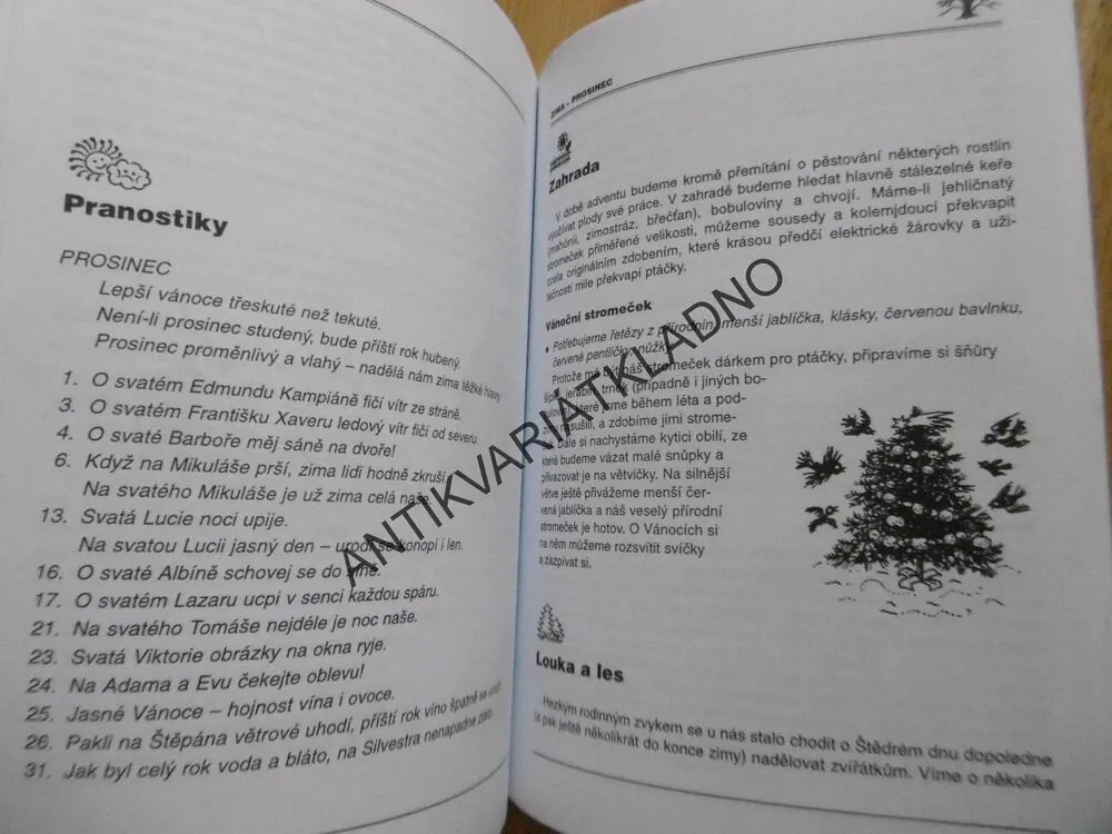 NÁPADY PRO MAMINKY NA MATEŘSKÉ DOVOLENÉ, HANA DOLEŽALOVÁ, **an
