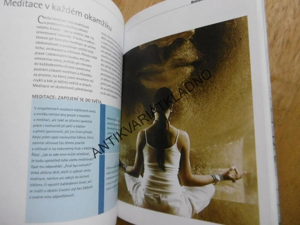MEDITACE PRO ZAČÁTEČNÍKY, PRAXE BDĚLÉHO ŽIVOT, CHRISTINA FELDMAN, **an