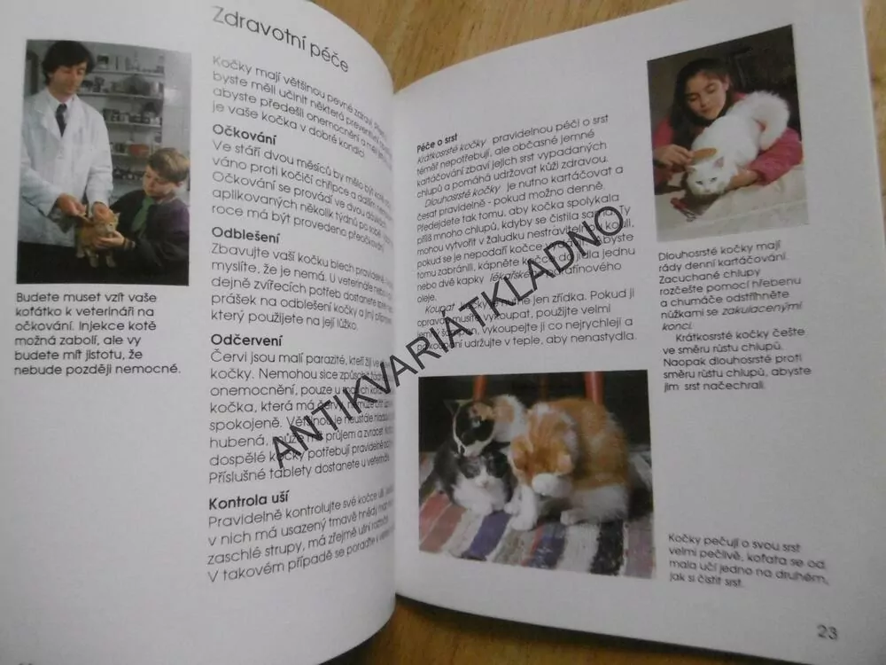 KOČKA BYDLÍ S NÁMI, KOČKA,PRŮVODCE PRO MLADÉ CHOVATELE, HELENA PIERSOVÁ, **an