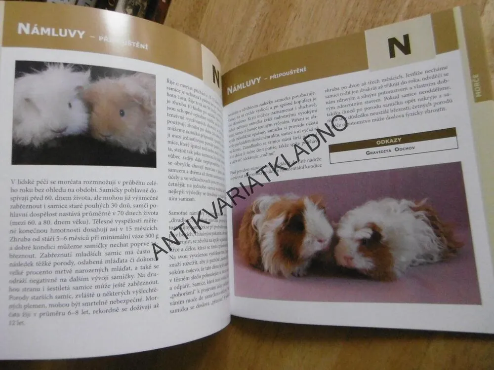 MORČE, ABECEDA CHOVATELE, NATAŠA VELENSKÁ