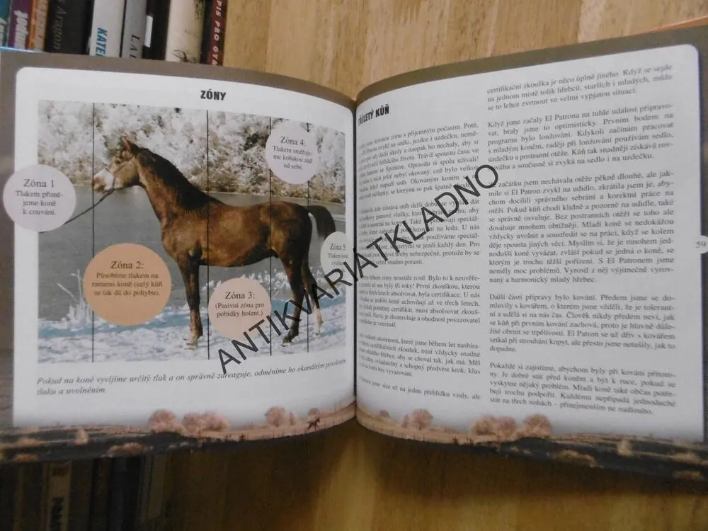 HŘÍBĚ JE NA SVĚTĚ, ELIN M. ELLINGSEN, **an