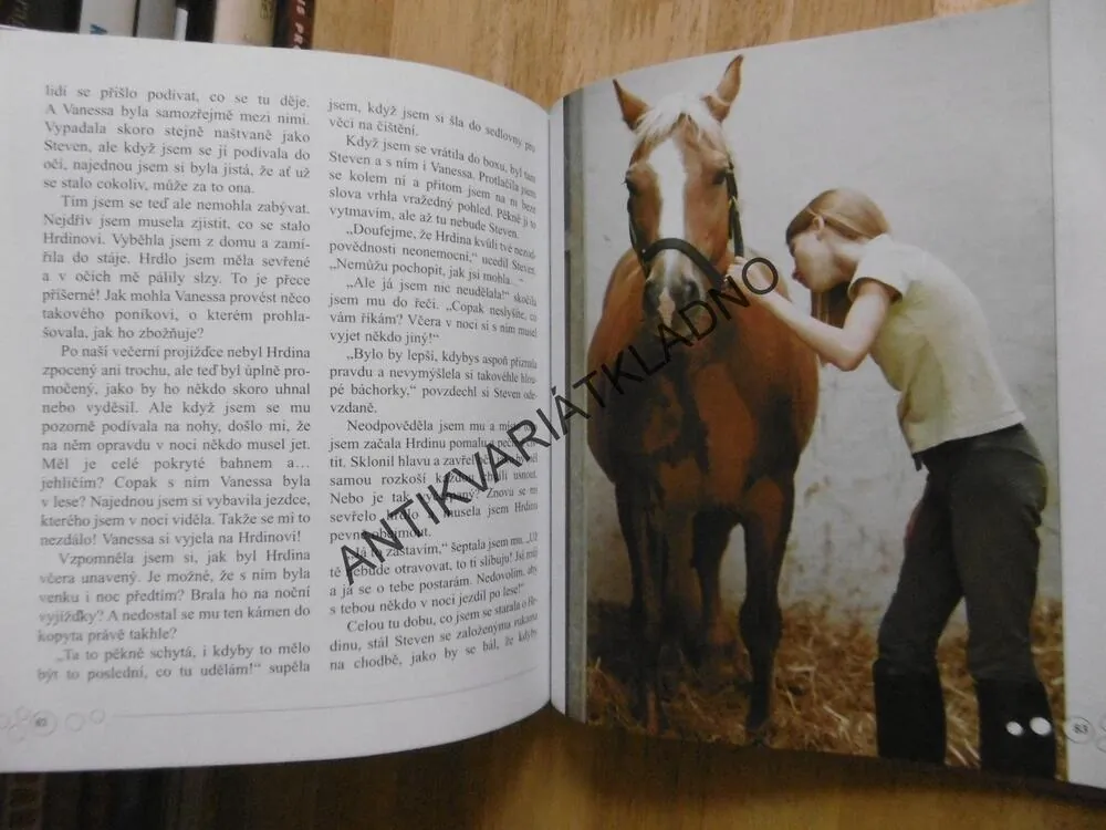 TÁBOR PLNÝ TRAMPOT, ELI B. TORESEN, **an