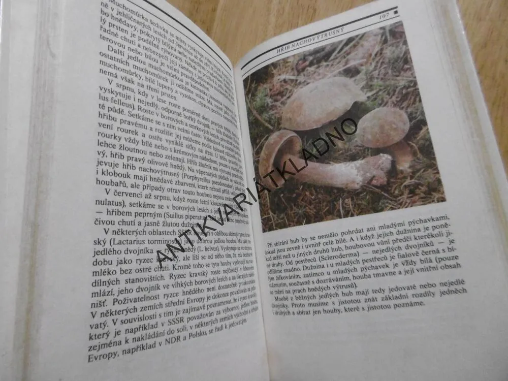 HOUBY, POZNÁVÁME, SBÍRÁME, UPRAVUJEME, GARIBOVOVÁ, **an