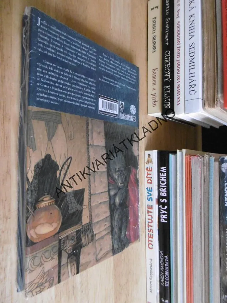 CONAN DAREBÁCI V DOMĚ, KOMIKS, BUSIEK, CARY NORD, **an