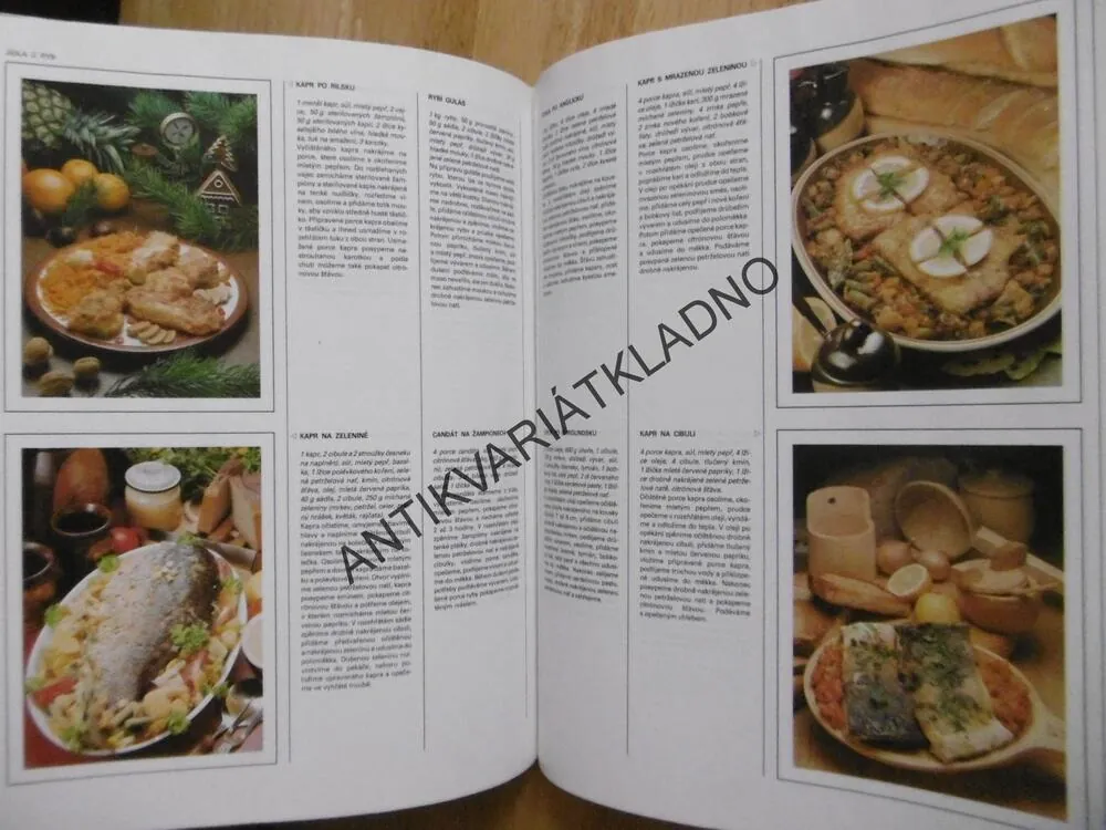 VELKÁ BAREVNÁ OBRAZOVÁ KUCHAŘKA, HORECKÁ, TICHÝ, **an