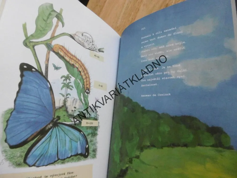 JÍZDA NA VLNÁCH, FRANCINE OOMEN, **an