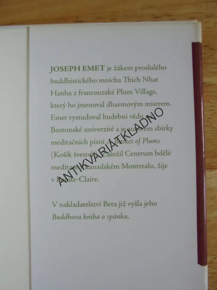 BUDDHOVA KNIHA O STRESU, JOSEPH EMET,MYSL,MEDITACE