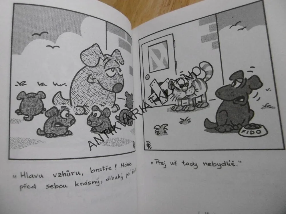 BAJKY DOMÁCÍ PRO KAŽDÉHO, 2., PAVEL KANTOREK