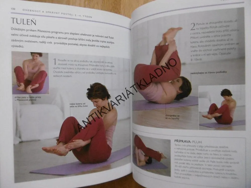 PILATES, SPRÁVNÁ VOLBA, SPORT,CVIČENÍ, ALYCEA UNGAROVÁ, **an