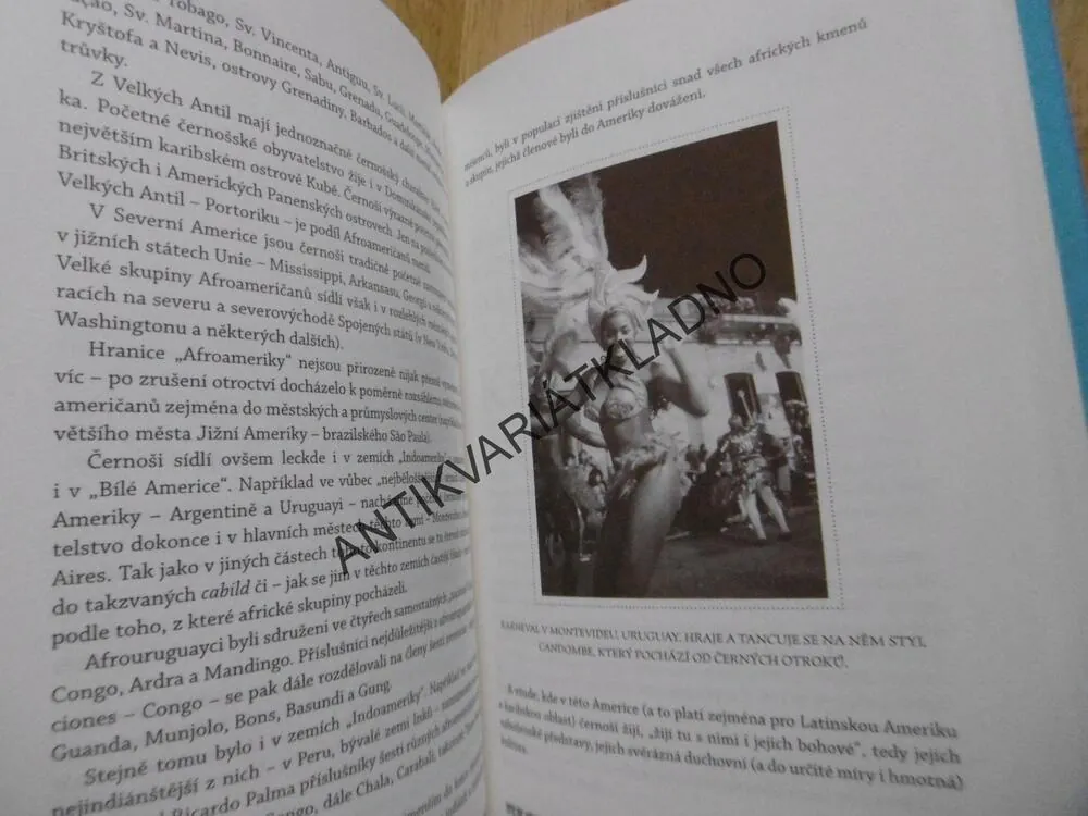 VÚDÚ, ZOMBIE, KARNEVALY, MILOSLAV STINGL, **an