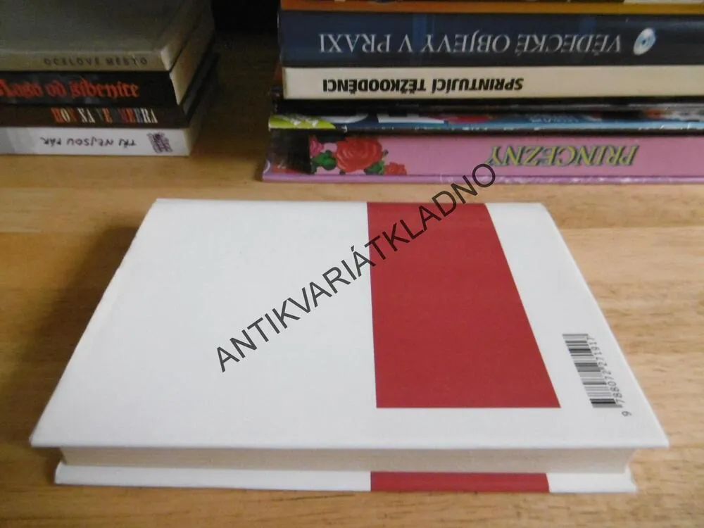 VYBÍJENÁ, MICHAL VIEWEGH, **an