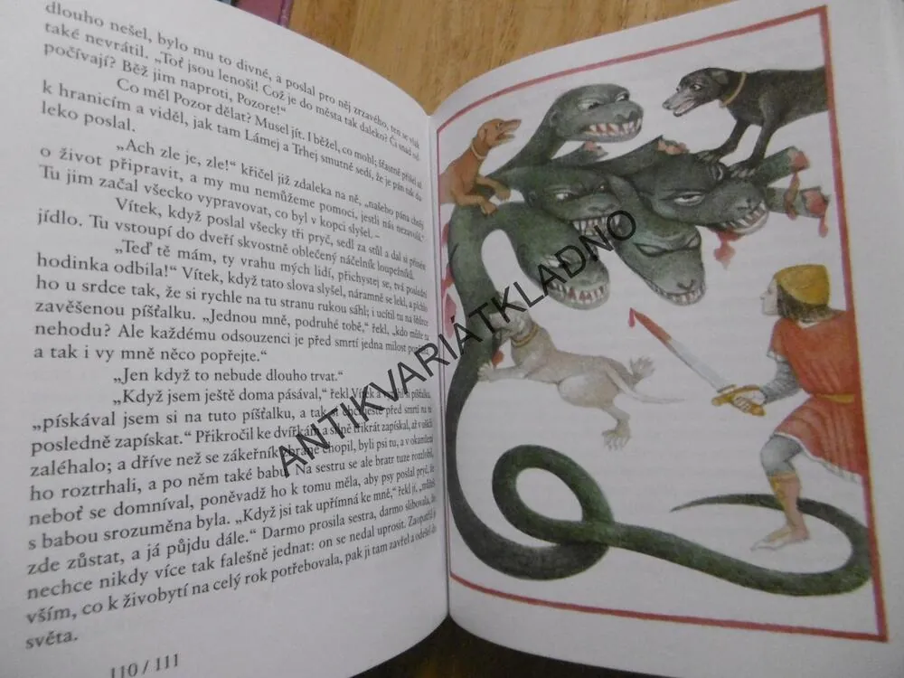 PRINCEZNA SE ZLATOU HVĚZDOU NA ČELE, BOŽENA NĚMCOVÁ, **an