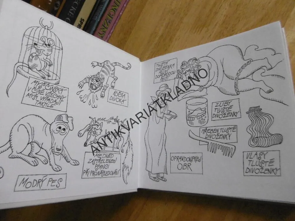 JIRKŮV PERNÝ DEN, RICHMAL CROMPTONOVÁ, MARCEL STECKER, **an