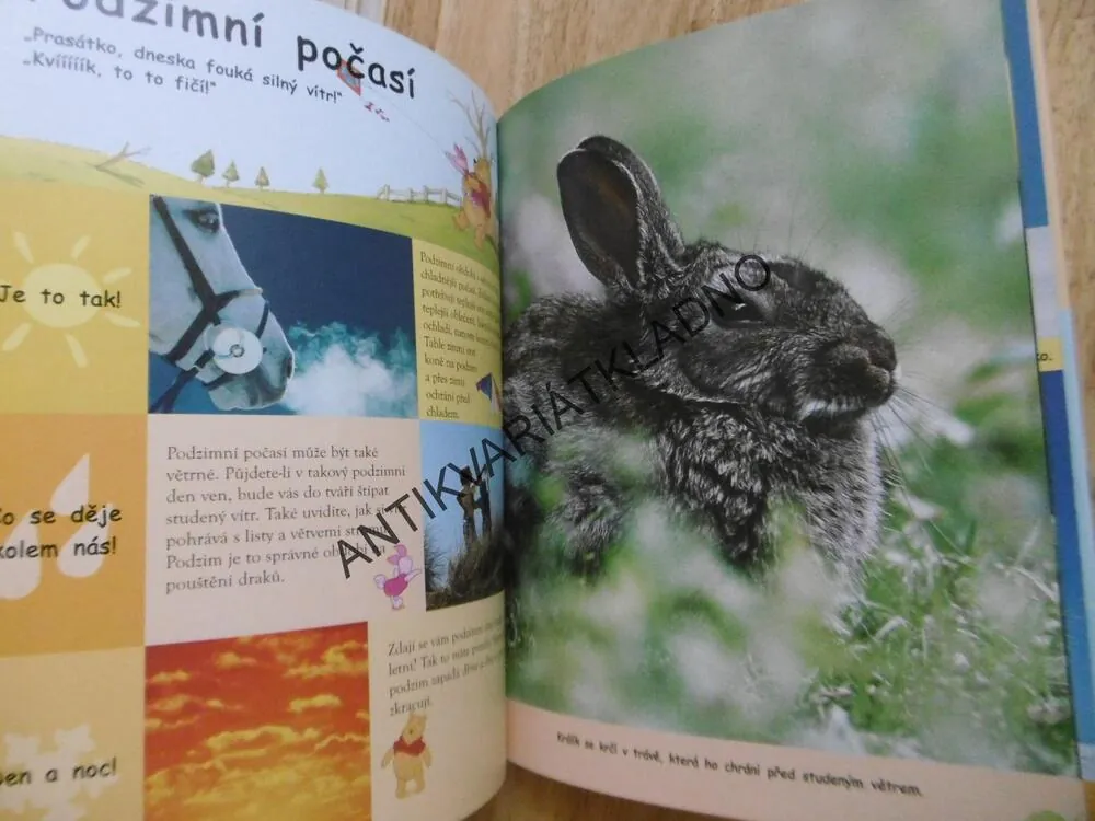 MOJE PRVNÍ KNIHA ROČNÍCH OBDOBÍ, MEDVÍDKEM PÚ A JEHO PŘÁTELI, **an