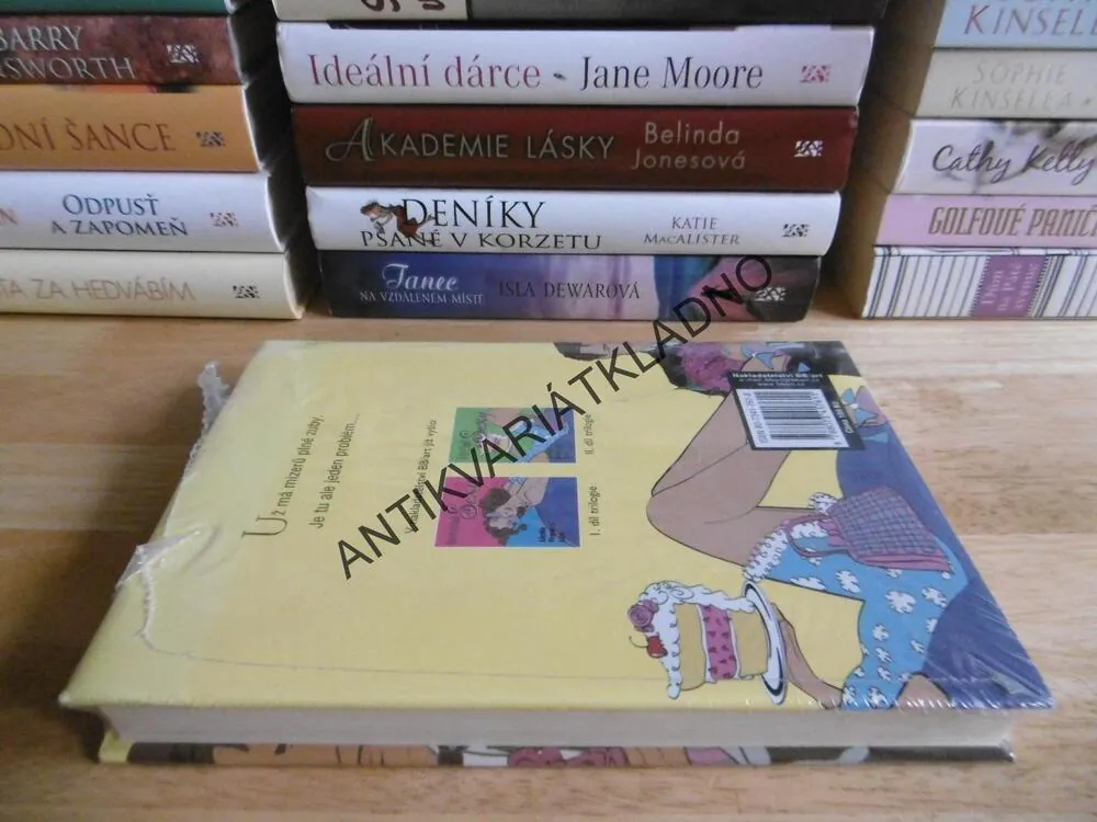 PROSTĚ SEXY, LINDA FRANCIS LEE, **an