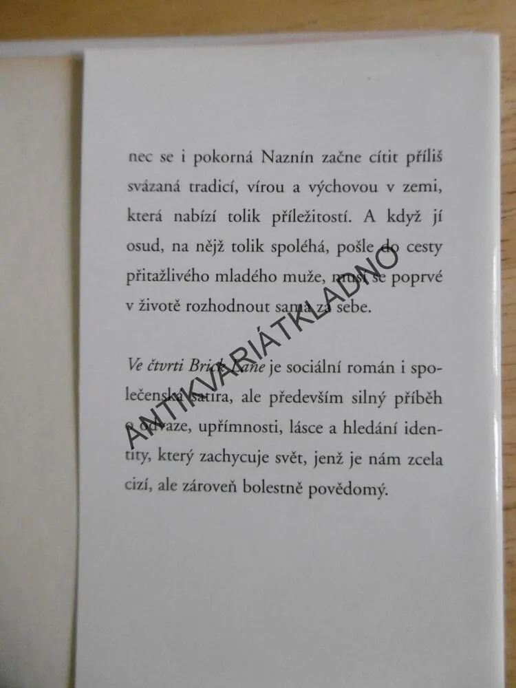 VE ČTVRTI BRICK LANE, MONICA ALI, **an