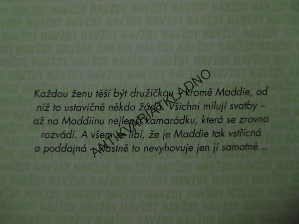NAVŽDY DRUŽIČKOU, LINDSEY KELKOVÁ, **an