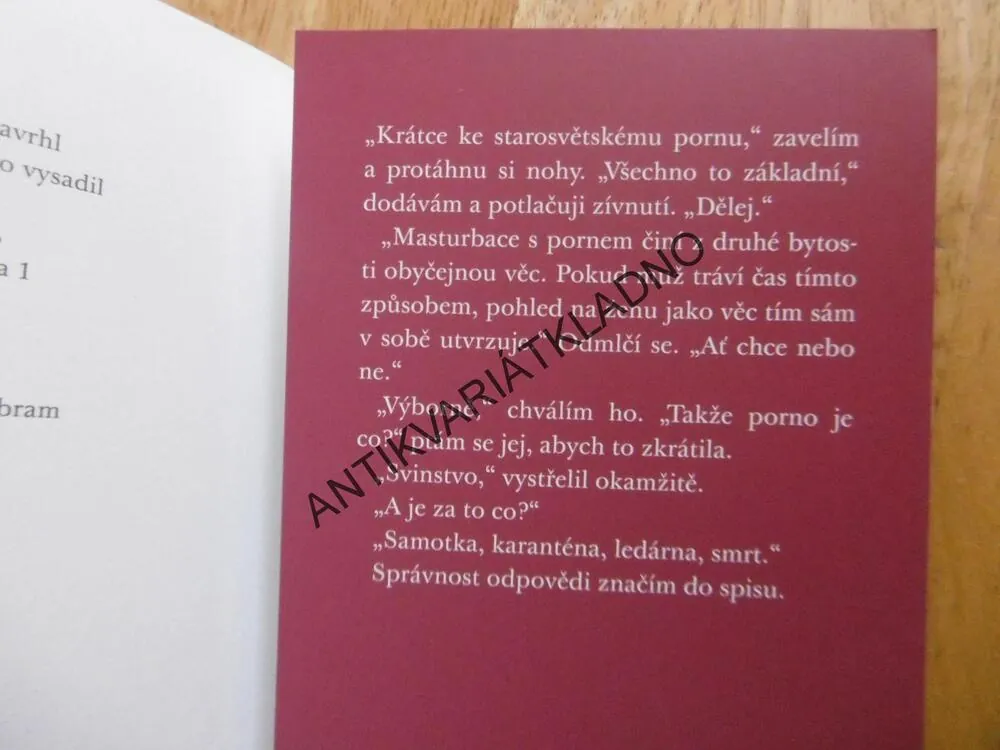 STRUČNÉ DĚJINY HNUTÍ, PETRA HŮLOVÁ, **an