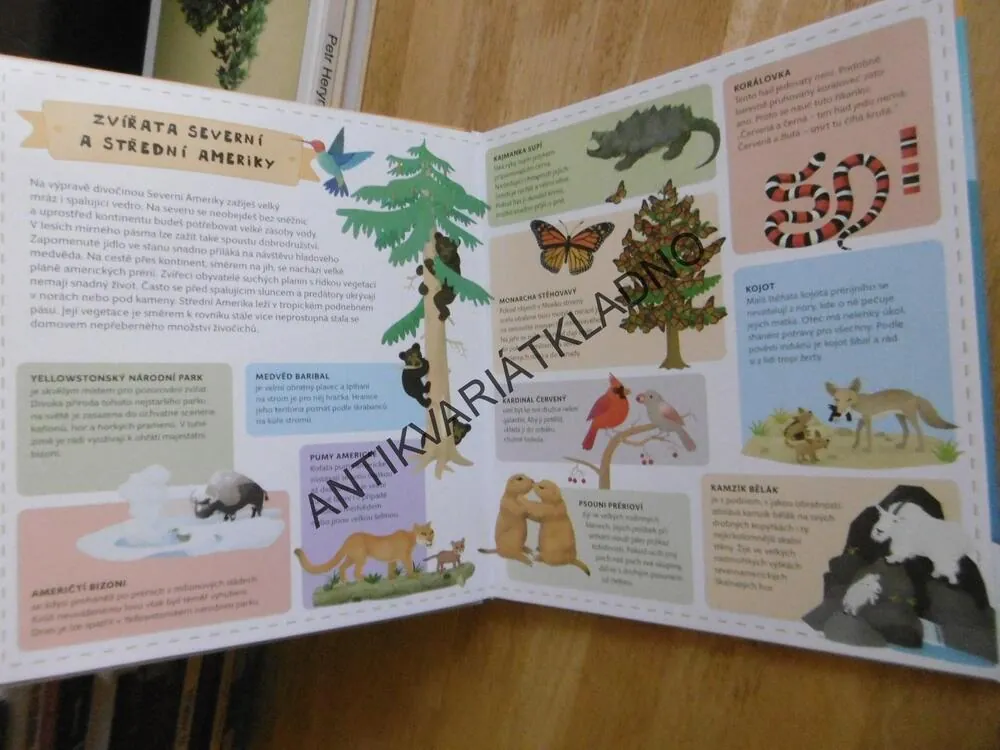 ATLAS ZVÍŘAT PRO DĚTI, **an
