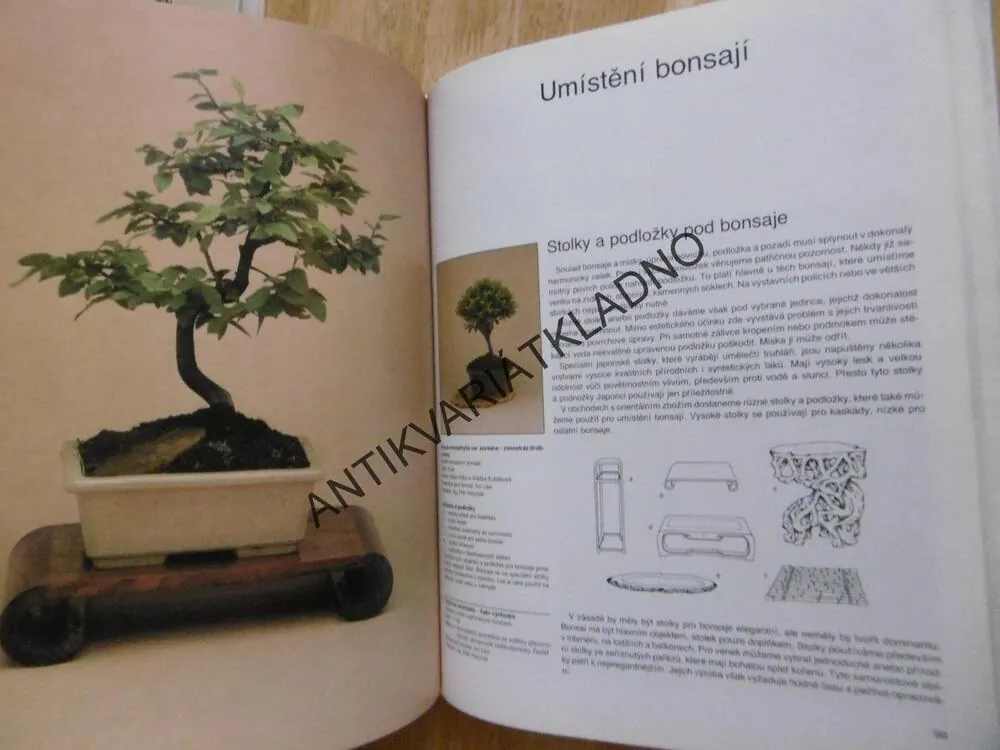 BONSAI, PETR HERYNEK, **an