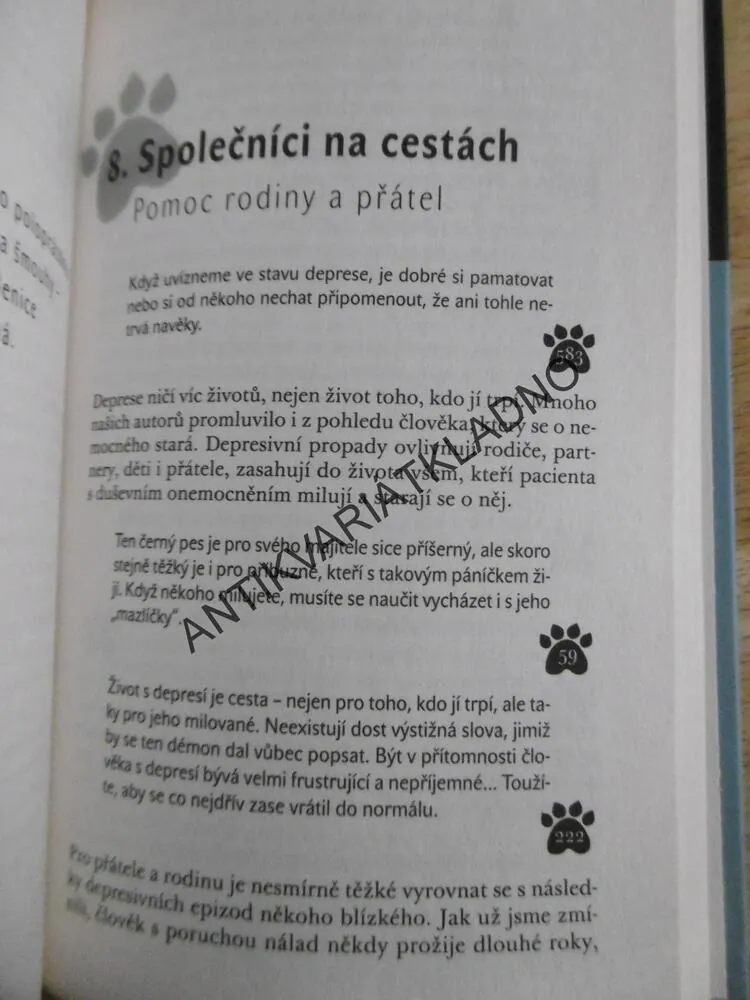 PUTOVÁNÍ S ČERNÝM PSEM, ŽIVOT S DEPRESÍ, TESSA WIGNEYOVÁ, **an