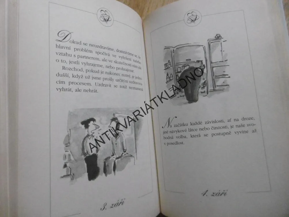 KAŽDODENNÍ MEDITACE PRO ŽENY, KTERÉ PŘÍLIŠ MILUJÍ, ROBIN NORWOODOVÁ, **an