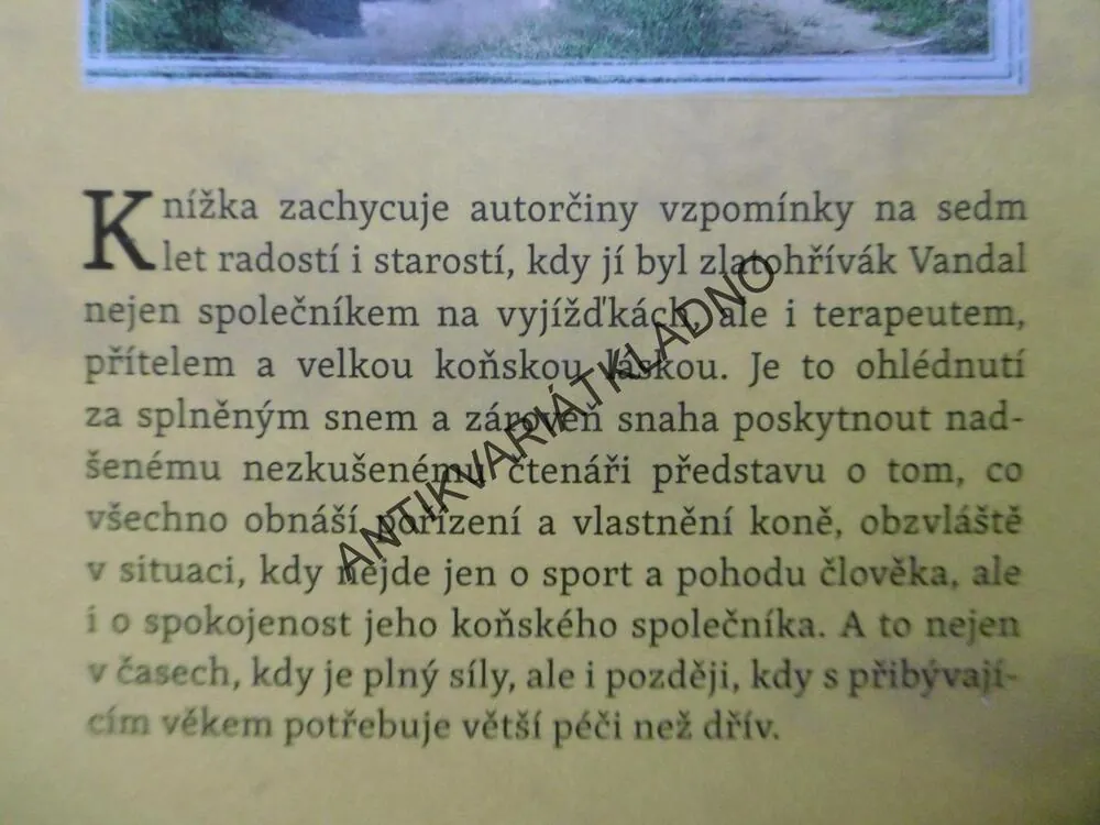 VANDAL A JÁ ANEB KŮŇ PRO RADOST, HANA HOZOVÁ, **an