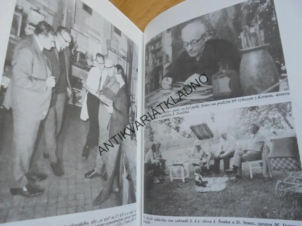 UTAJENÉ PROTOKOLY ANEB GENIÁLNÍ PODVOD, M.IVANOV, **an