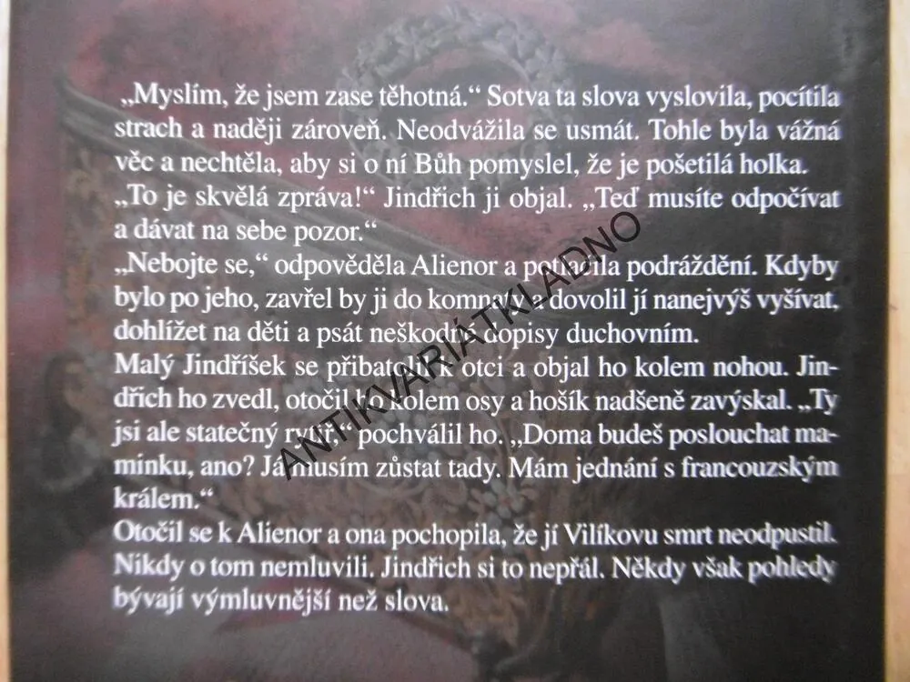 ZIMNÍ KORUNA, ELIZABETH CHADWICKOVÁ, **an