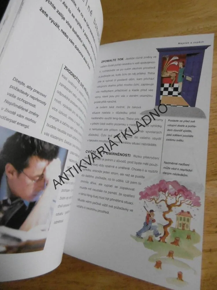 PŘÍRUČKA FENG-ŠUEJ, JANE BUTLER-BIGGS, **an