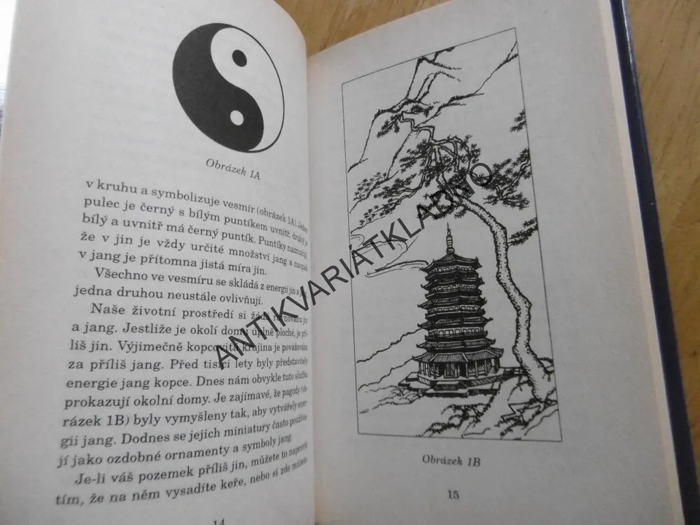 FENG SHUI, FENG-ŠUEJ, RICHARD WEBSTER, **an