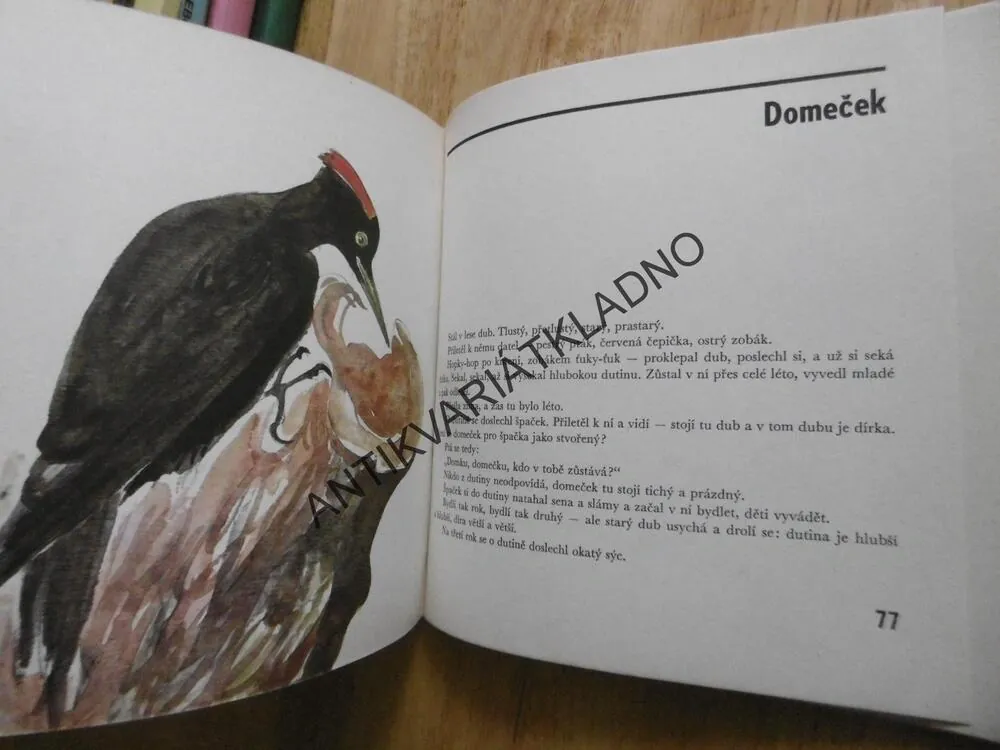 MRAVENEČKOVA DOBRODRUŽSTVÍ, VITALIJ BIANKI,**an