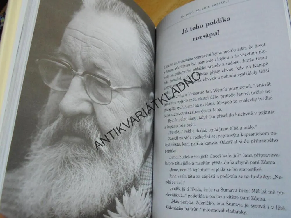 KLAUNOVO VELMI POZDNÍ ODPOLEDNE, JAN WERICH, CHRASTIL