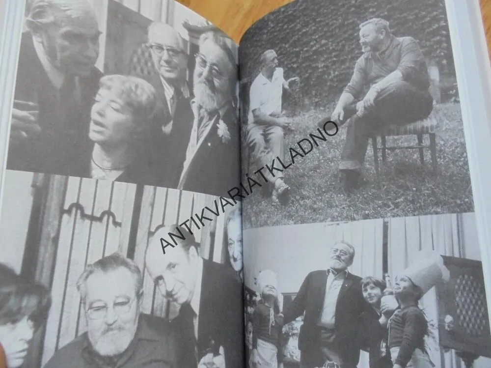 NA KAMPĚ POD POKLIČKOU, JAN WERICH, CHRASTIL, **an