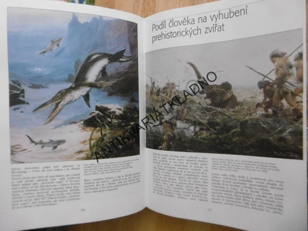 OTISKY ČASU, BOŘIVOJ ZÁRUBA, ZDENĚK BURIAN, **an