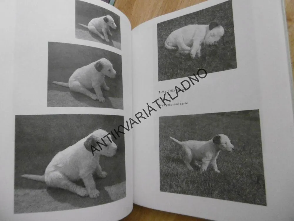 DÁŠENKA, ČILI ŽIVOT ŠTĚNĚTE, KAREL ČAPEK, 1994, **an