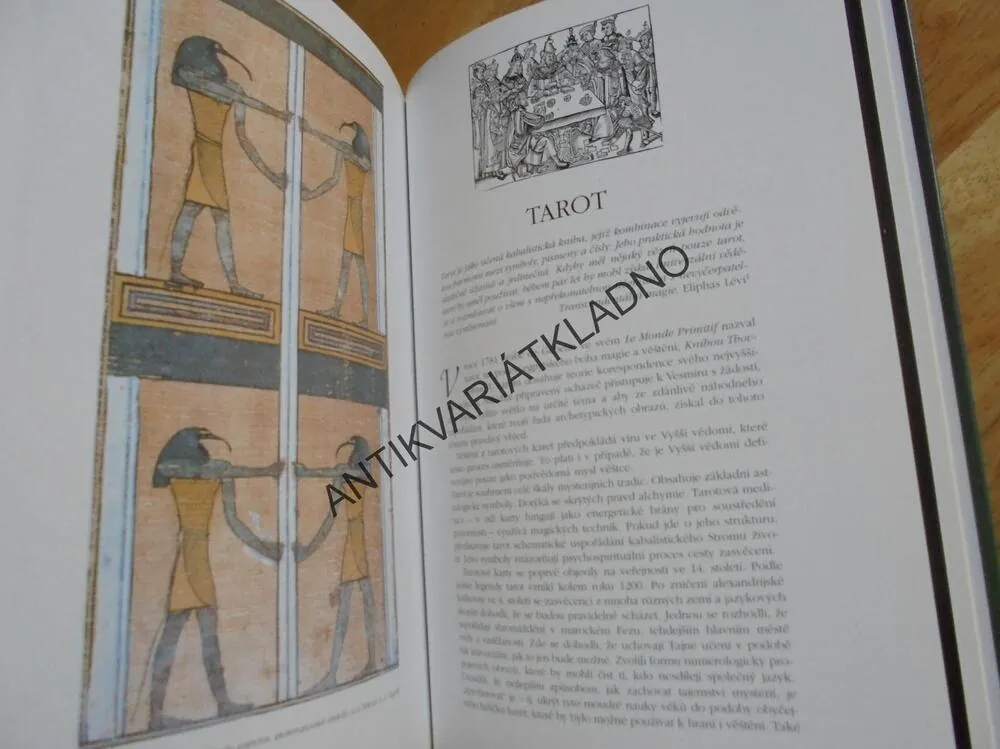 MYSTERIJNÍ TRADICE, SYMBOLY, POSVÁTNÉ UMĚNÍ,WASSER, **an