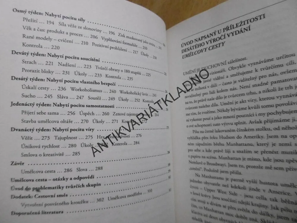 UMĚLCOVA CESTA, JULIA CAMERONOVÁ, **an