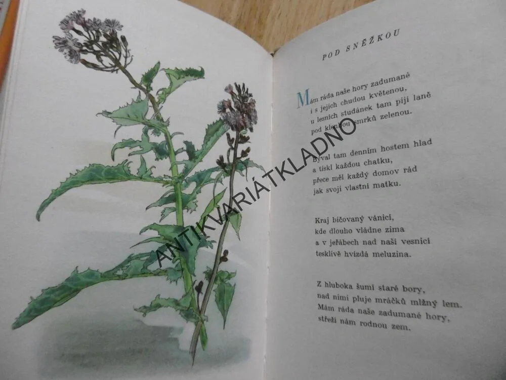 ZPĚV ZEMĚ, MARIE KRATZOCHVÁLOVÁ, VEJRYCHOVÁ, BÁSNIČKY, POEZIE