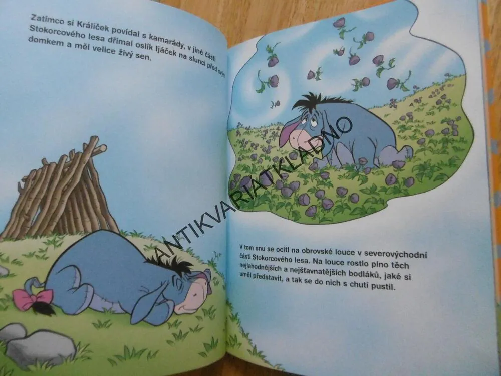DÁ SI NĚKDO MRKVIČKU? MEDVÍDEK PÚ, WALT DISNEY, **an