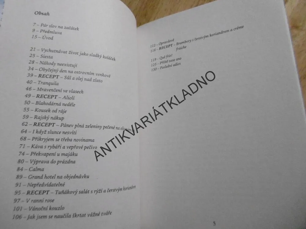 VĚŘ SVÝM SNŮM, KATY YAKSHA